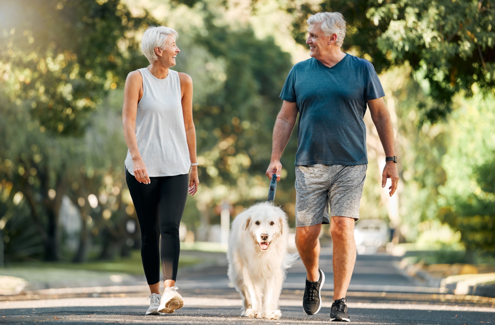 Two seniors walking their dog together outdoors.